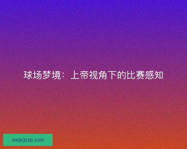 球场梦境:上帝视角下的比赛感知 球场梦境:上帝视角下的比赛感知