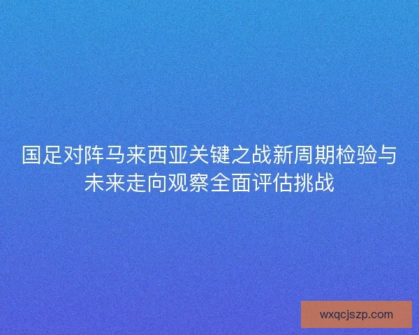 国足对阵马来西亚关键之战新周期检验与未来走向观察全面评估挑战