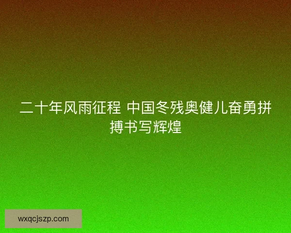 二十年风雨征程 中国冬残奥健儿奋勇拼搏书写辉煌