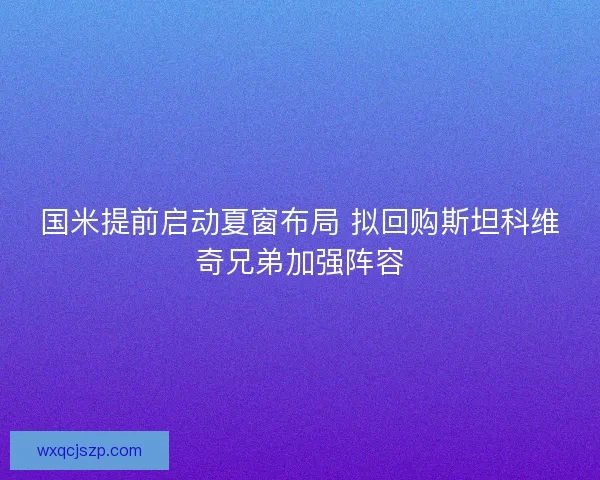 国米提前启动夏窗布局 拟回购斯坦科维奇兄弟加强阵容