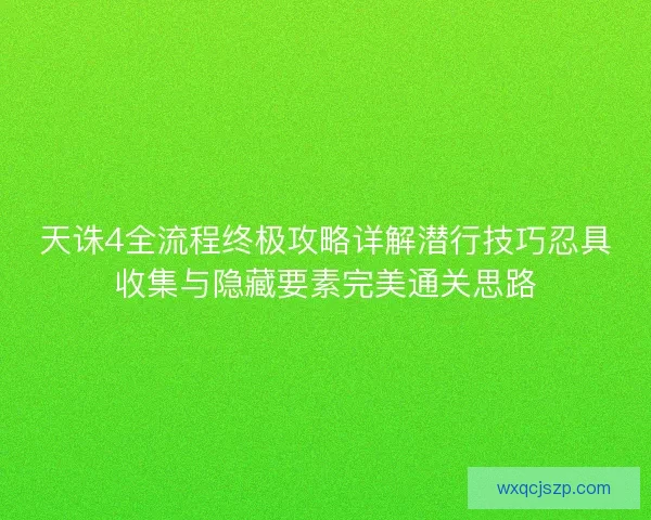 天诛4全流程终极攻略详解潜行技巧忍具收集与隐藏要素完美通关思路