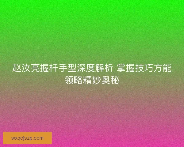 赵汝亮握杆手型深度解析 掌握技巧方能领略精妙奥秘